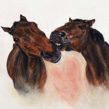Freundschaft