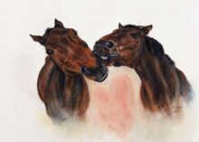 Freundschaft