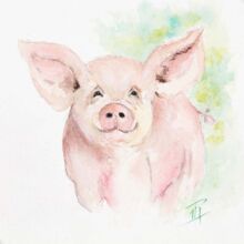 Schweinchen