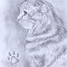 GinGin