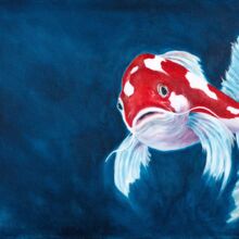 Koifisch