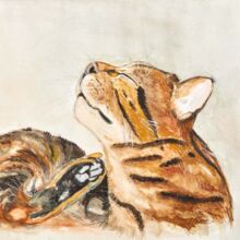 Kater